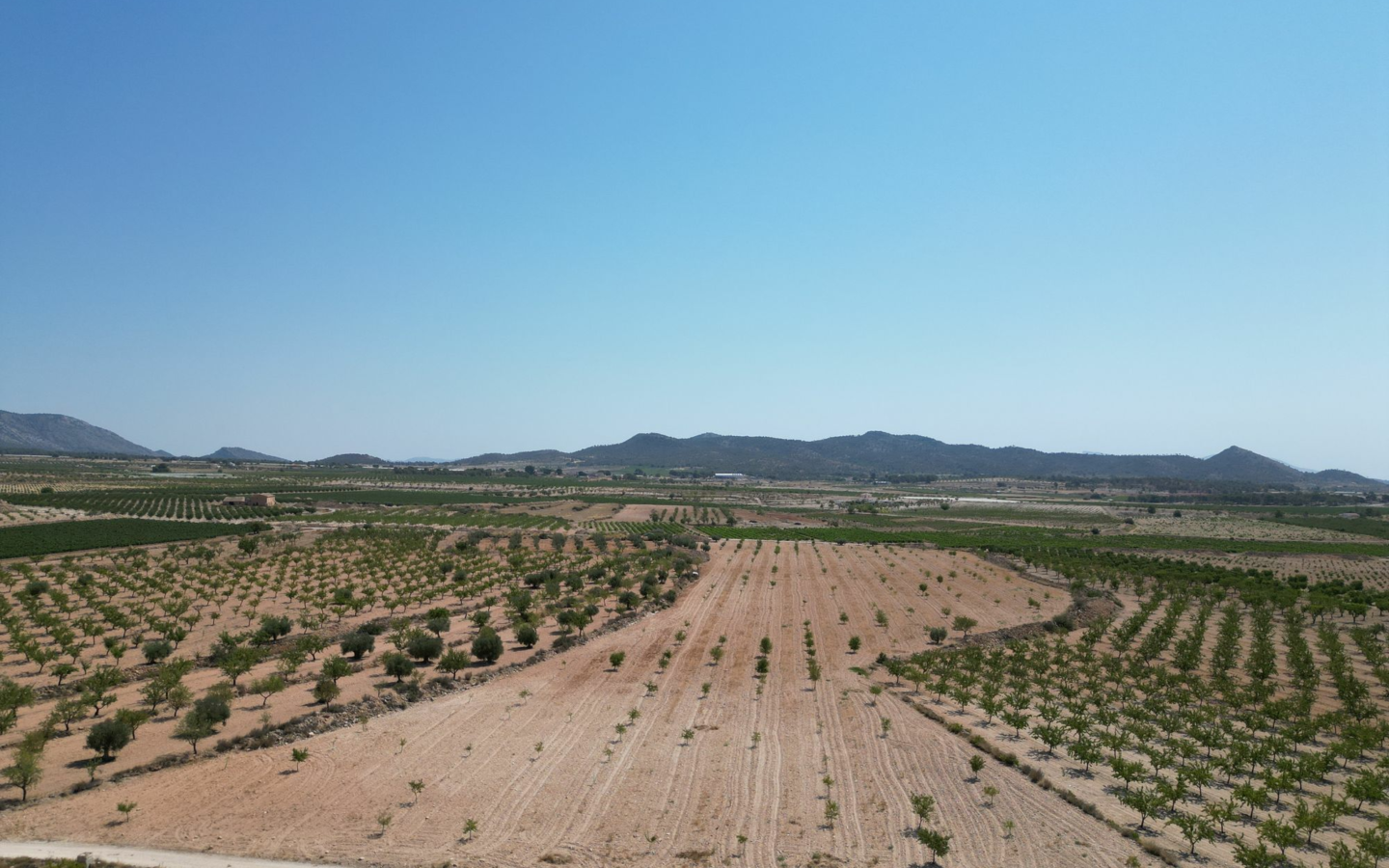 Land In Pinoso, Spain (30.590 M² Plot)