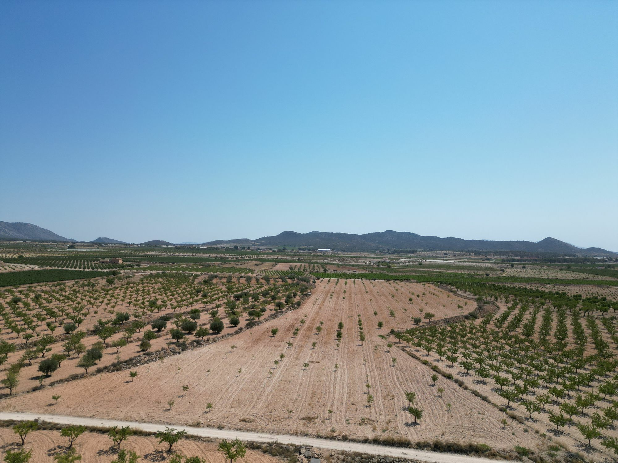Land In Pinoso, Spain (30.590 M² Plot)