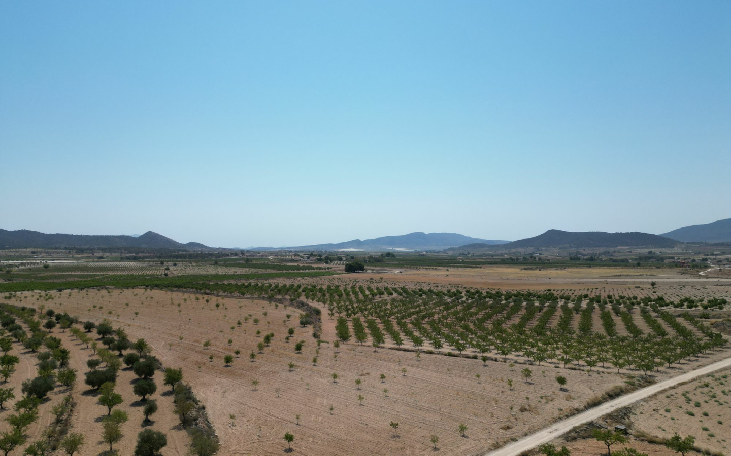Land In Pinoso, Spain (30.590 M² Plot)