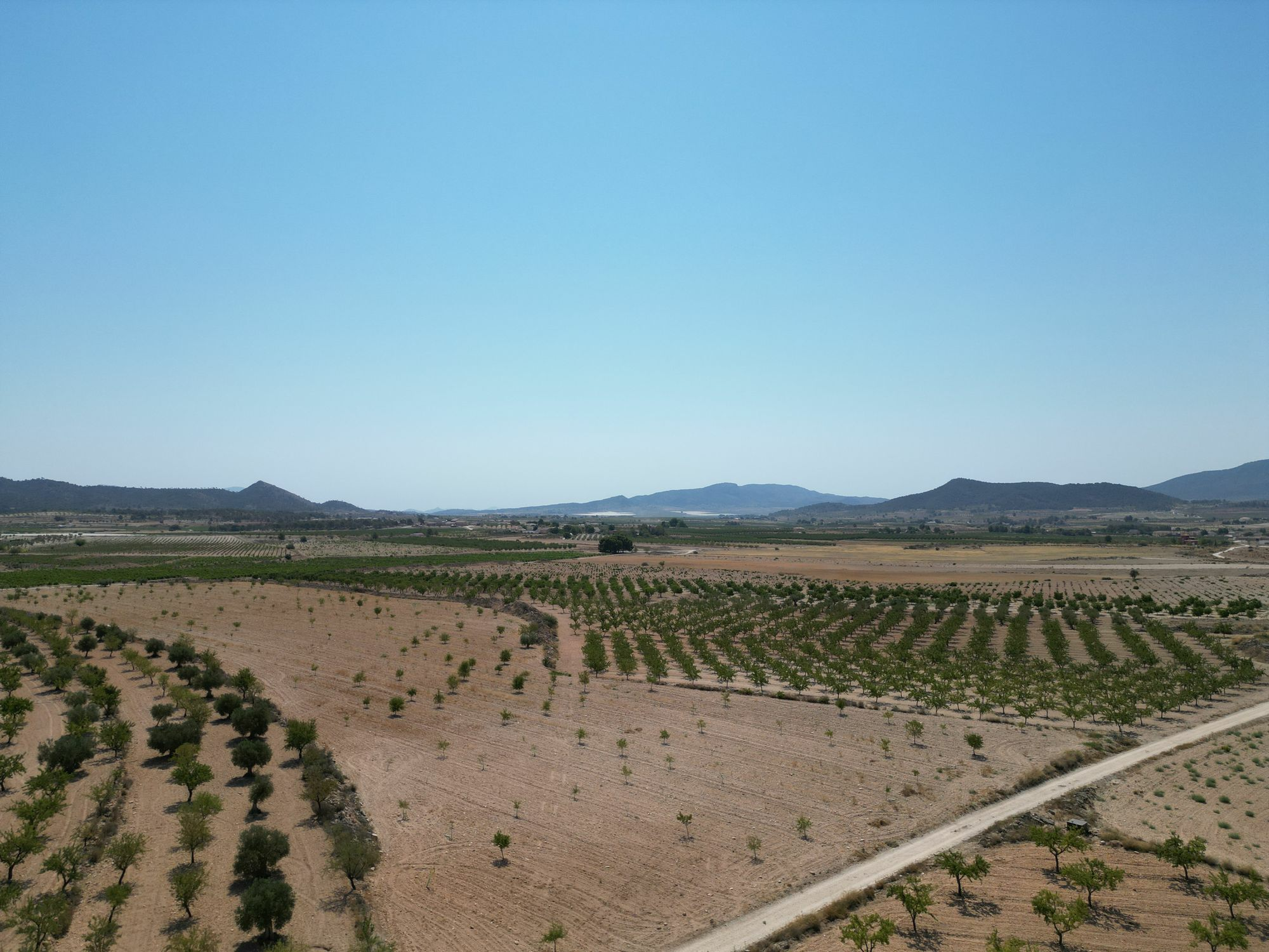 Land In Pinoso, Spain (30.590 M² Plot)