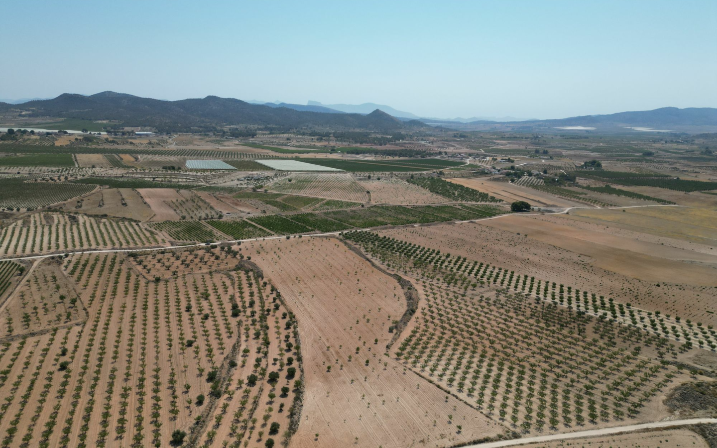 Land In Pinoso, Spain (30.590 M² Plot)