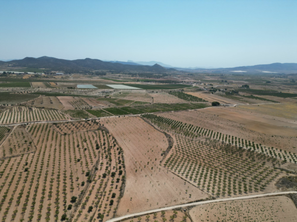 Land In Pinoso, Spain (30.590 M² Plot)