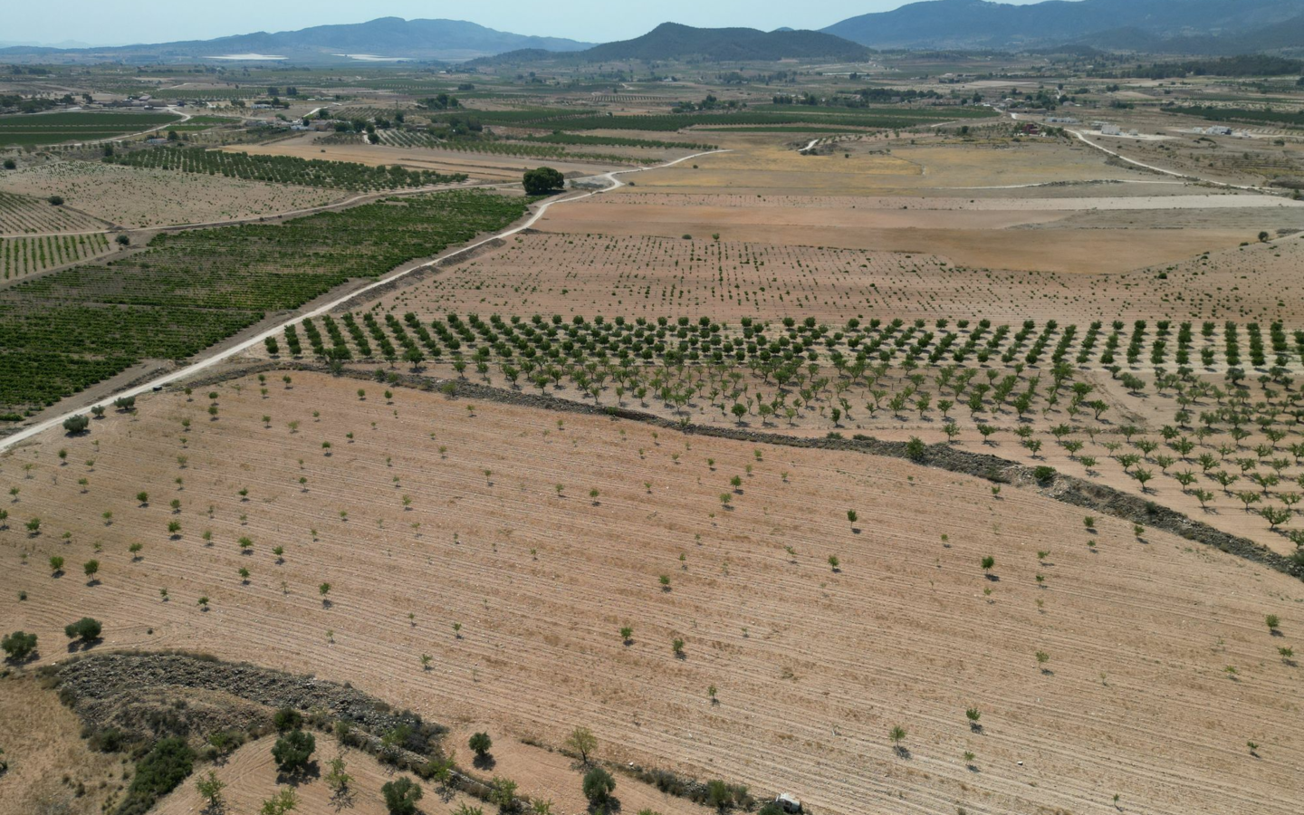 Land In Pinoso, Spain (30.590 M² Plot)
