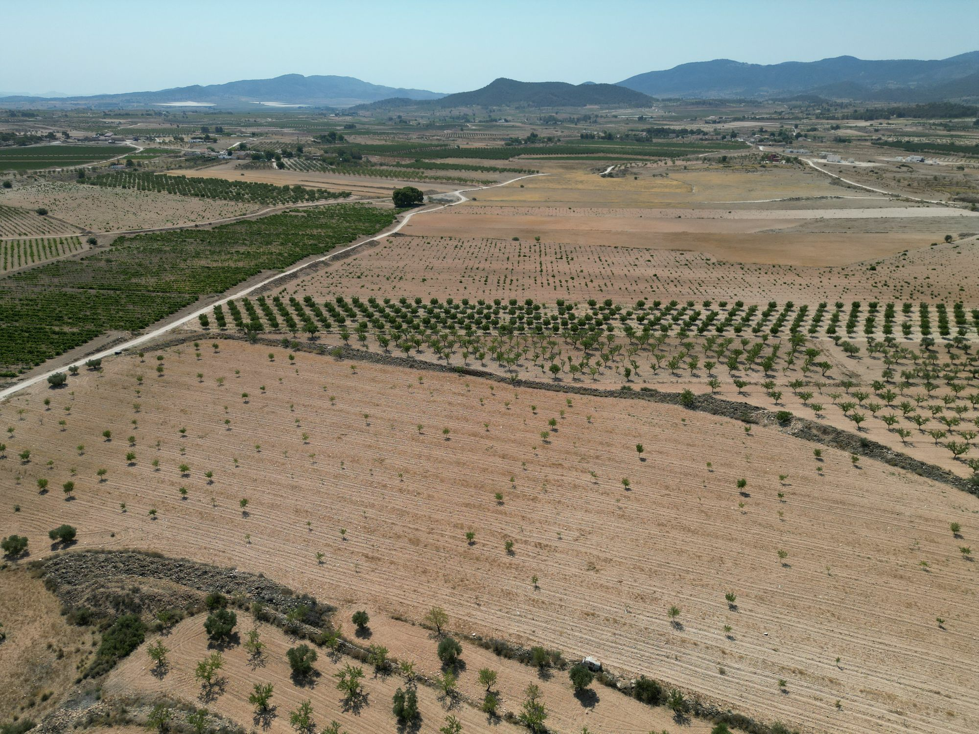 Land In Pinoso, Spain (30.590 M² Plot)