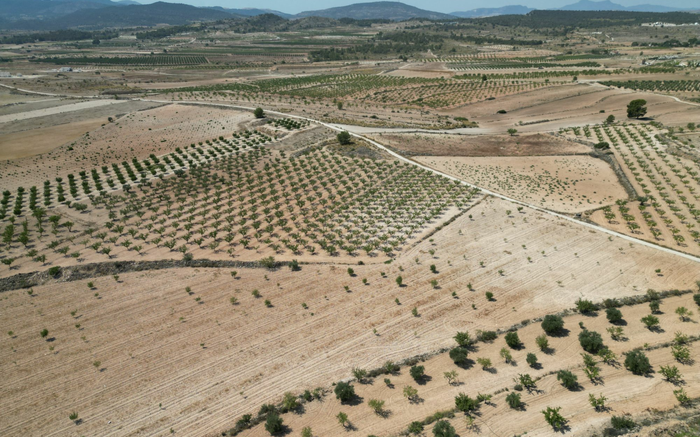 Land In Pinoso, Spain (30.590 M² Plot)