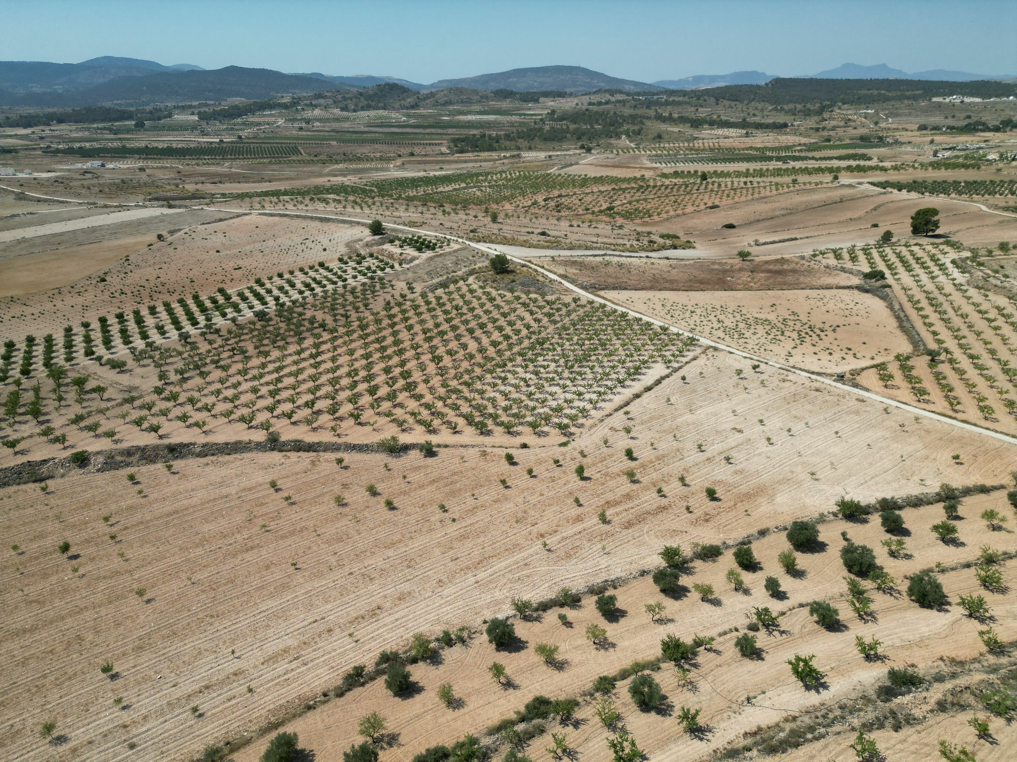 Land In Pinoso, Spain (30.590 M² Plot)