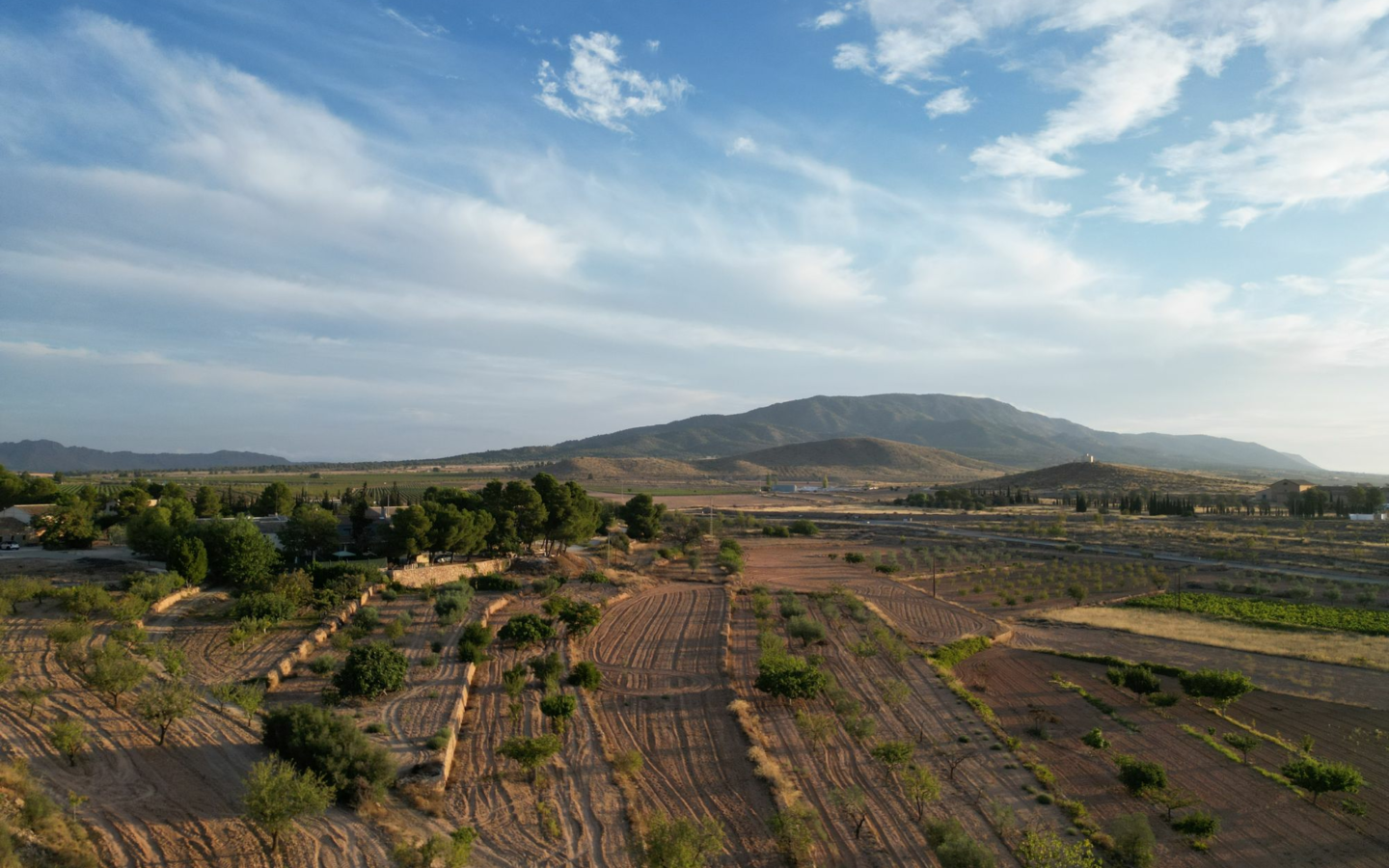 Land In Pinoso, Spain (11.013 M² Plot)