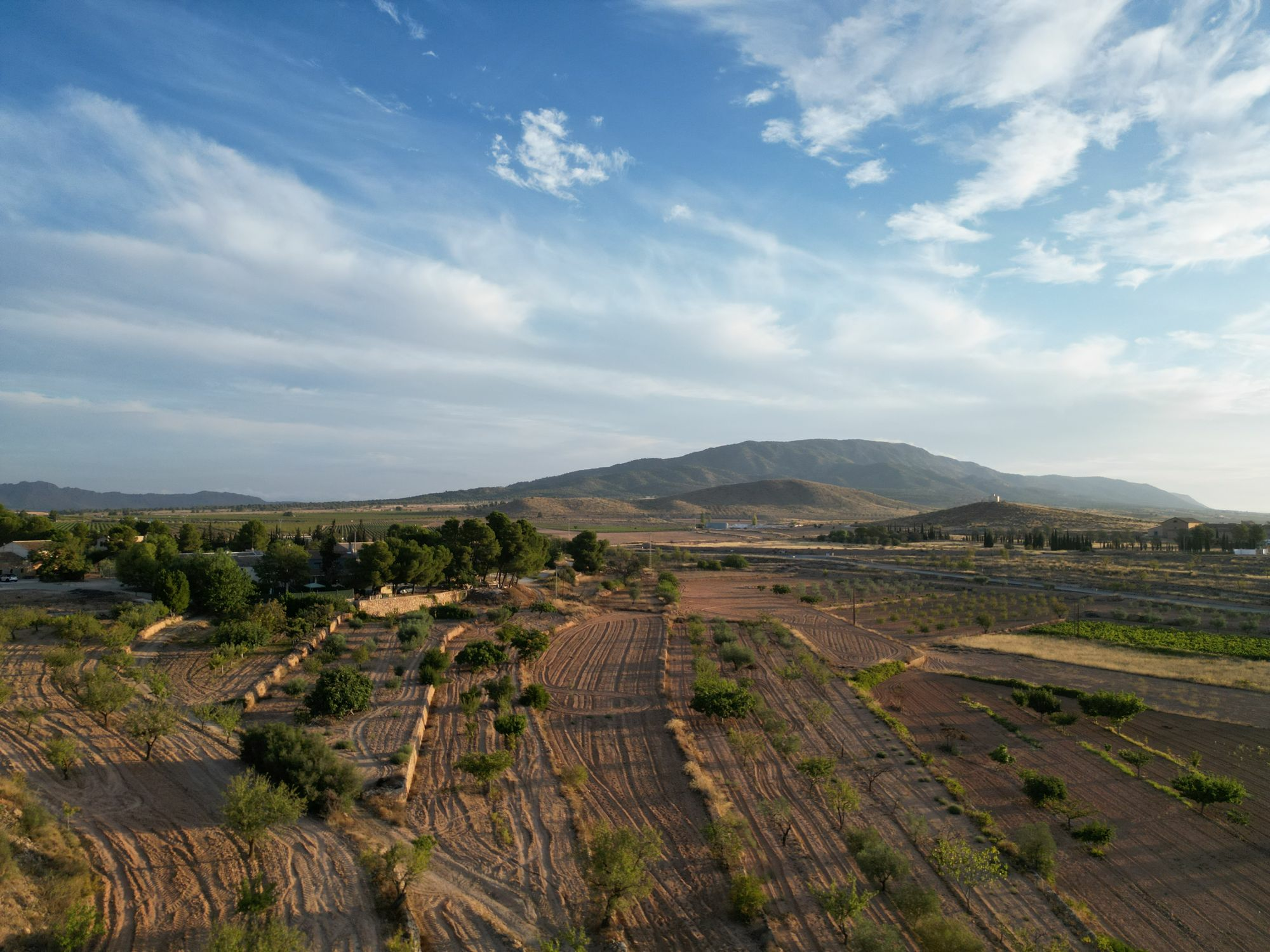 default Land In Pinoso, Spain (11.013 M² Plot)