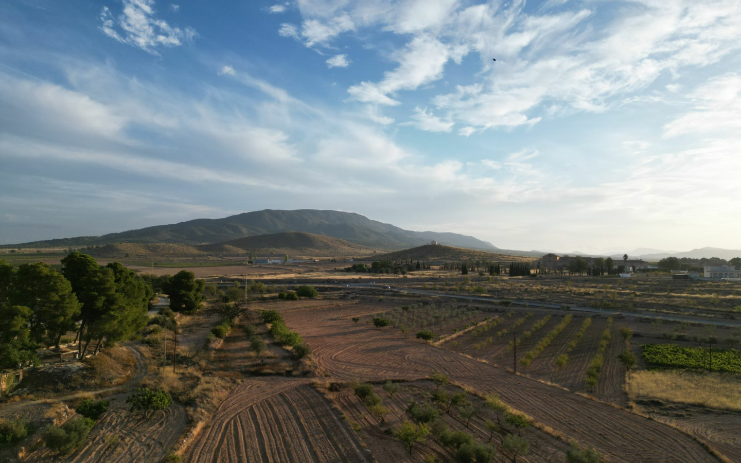 Land In Pinoso, Spain (11.013 M² Plot)