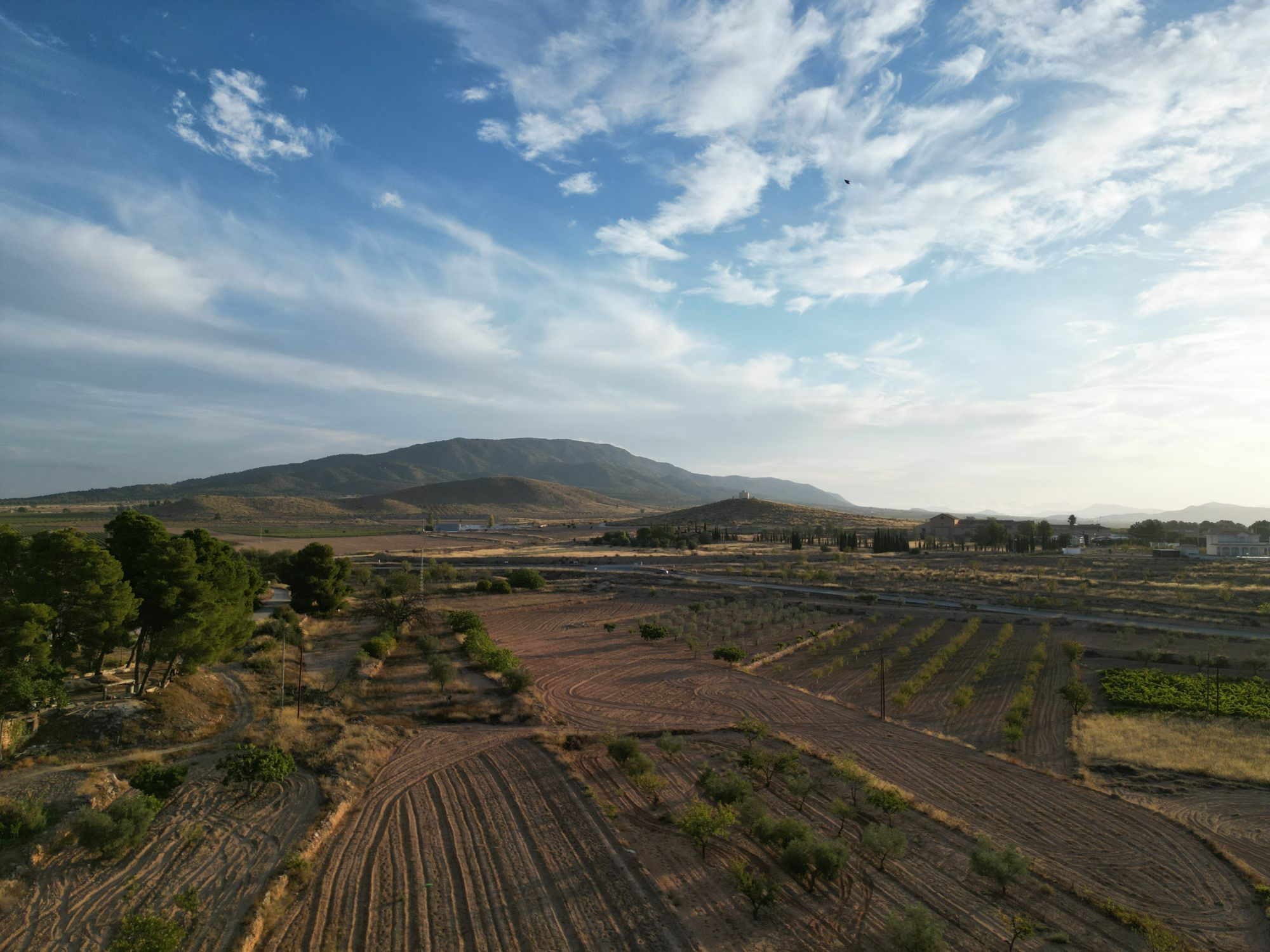 default Land In Pinoso, Spain (11.013 M² Plot)