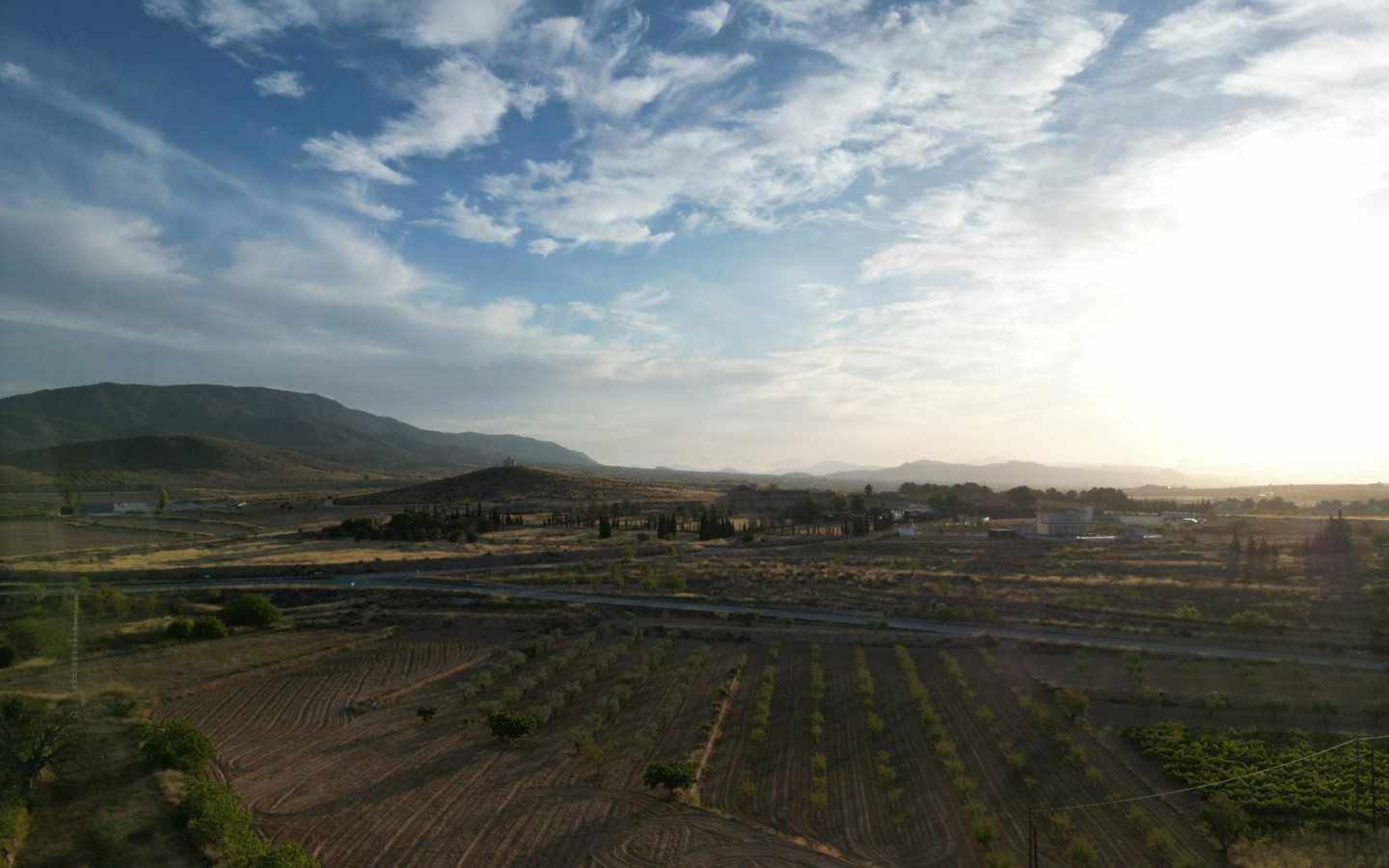 Land In Pinoso, Spain (11.013 M² Plot)