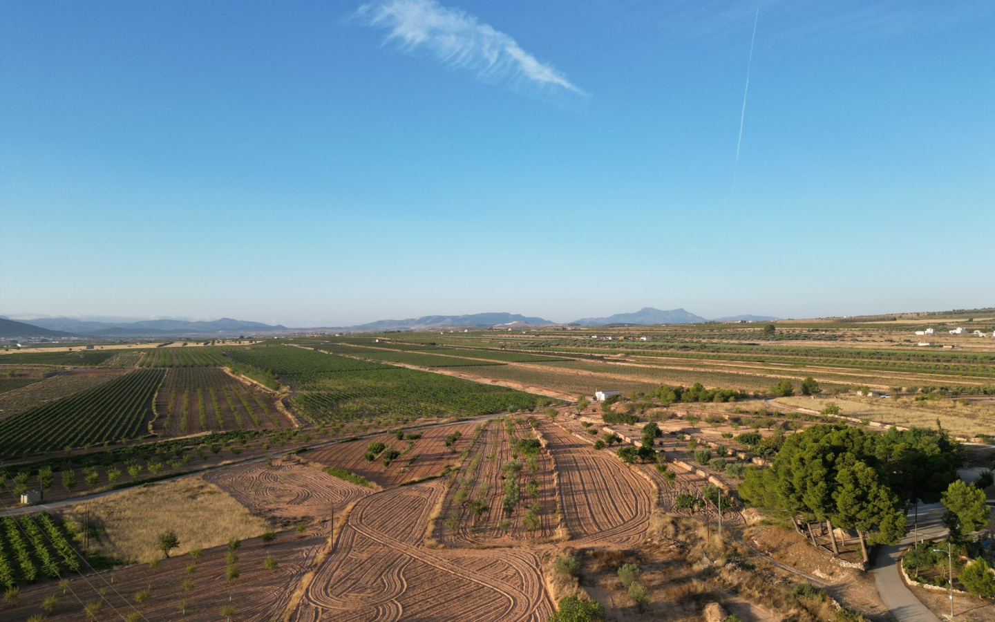 Land In Pinoso, Spain (11.013 M² Plot)