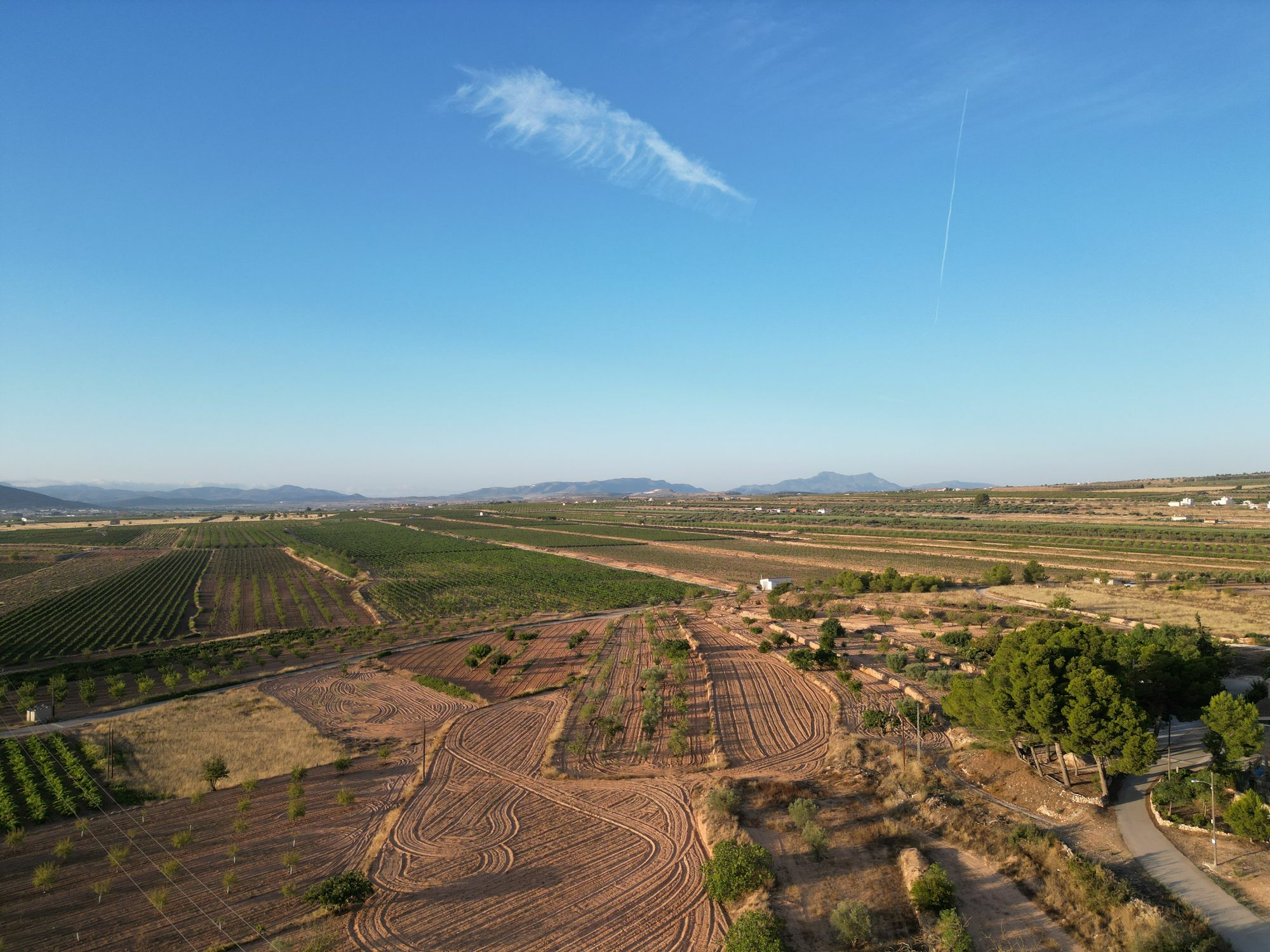 default Land In Pinoso, Spain (11.013 M² Plot)