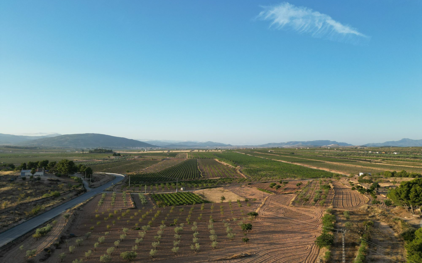 Land In Pinoso, Spain (11.013 M² Plot)