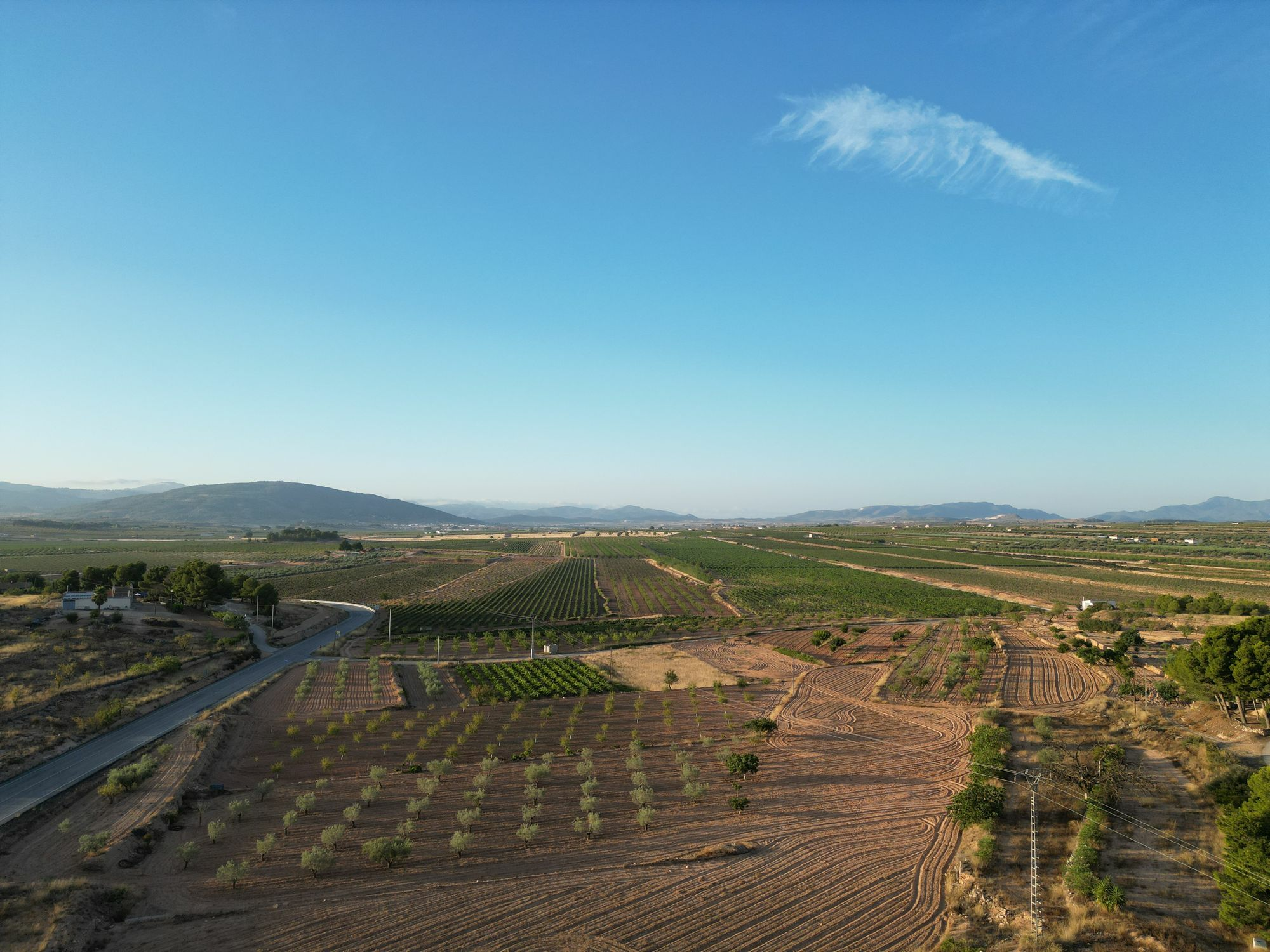 default Land In Pinoso, Spain (11.013 M² Plot)