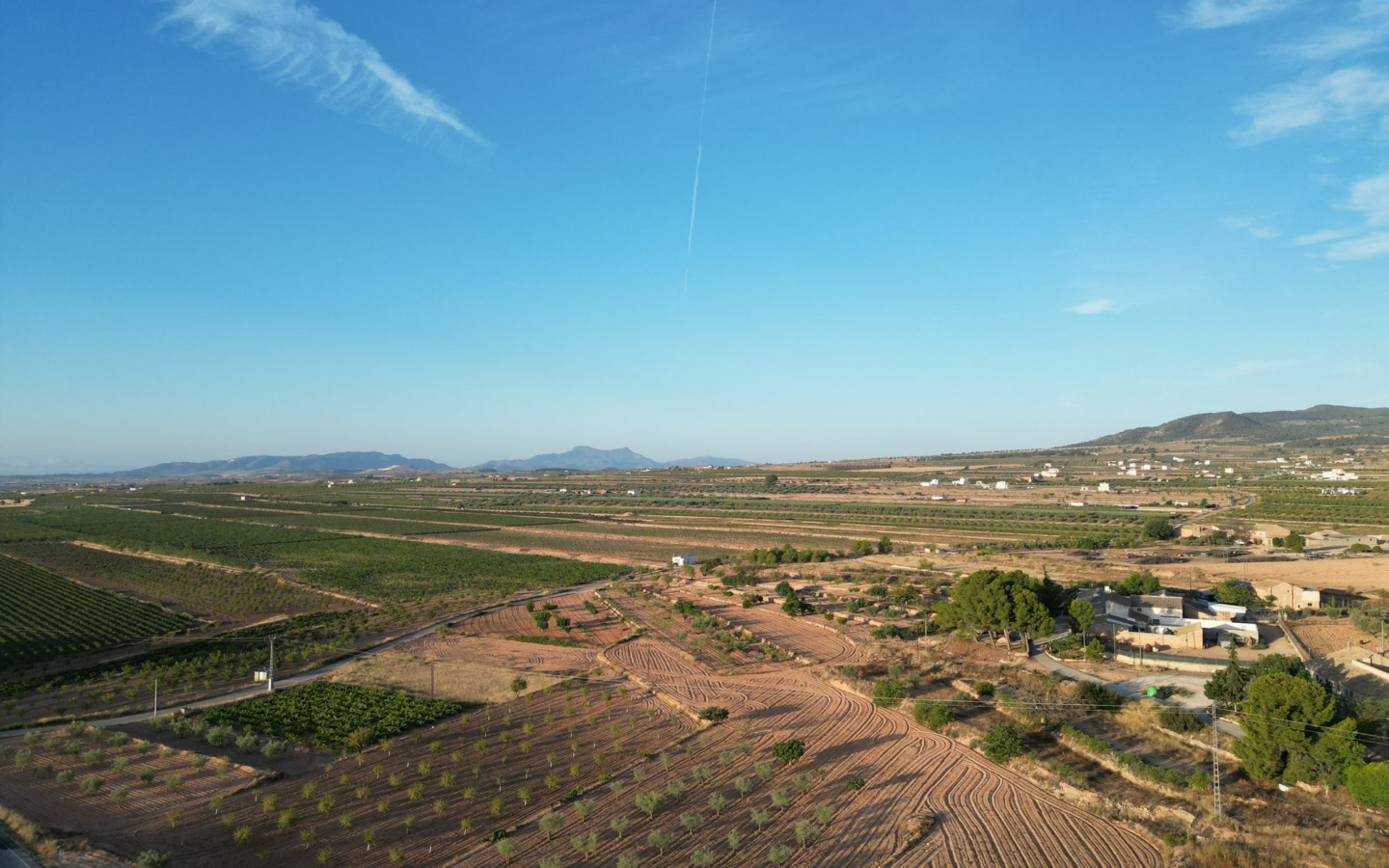 Land In Pinoso, Spain (11.013 M² Plot)