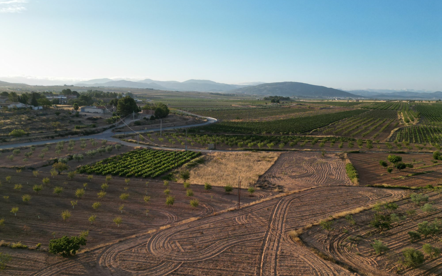 Land In Pinoso, Spain (11.013 M² Plot)