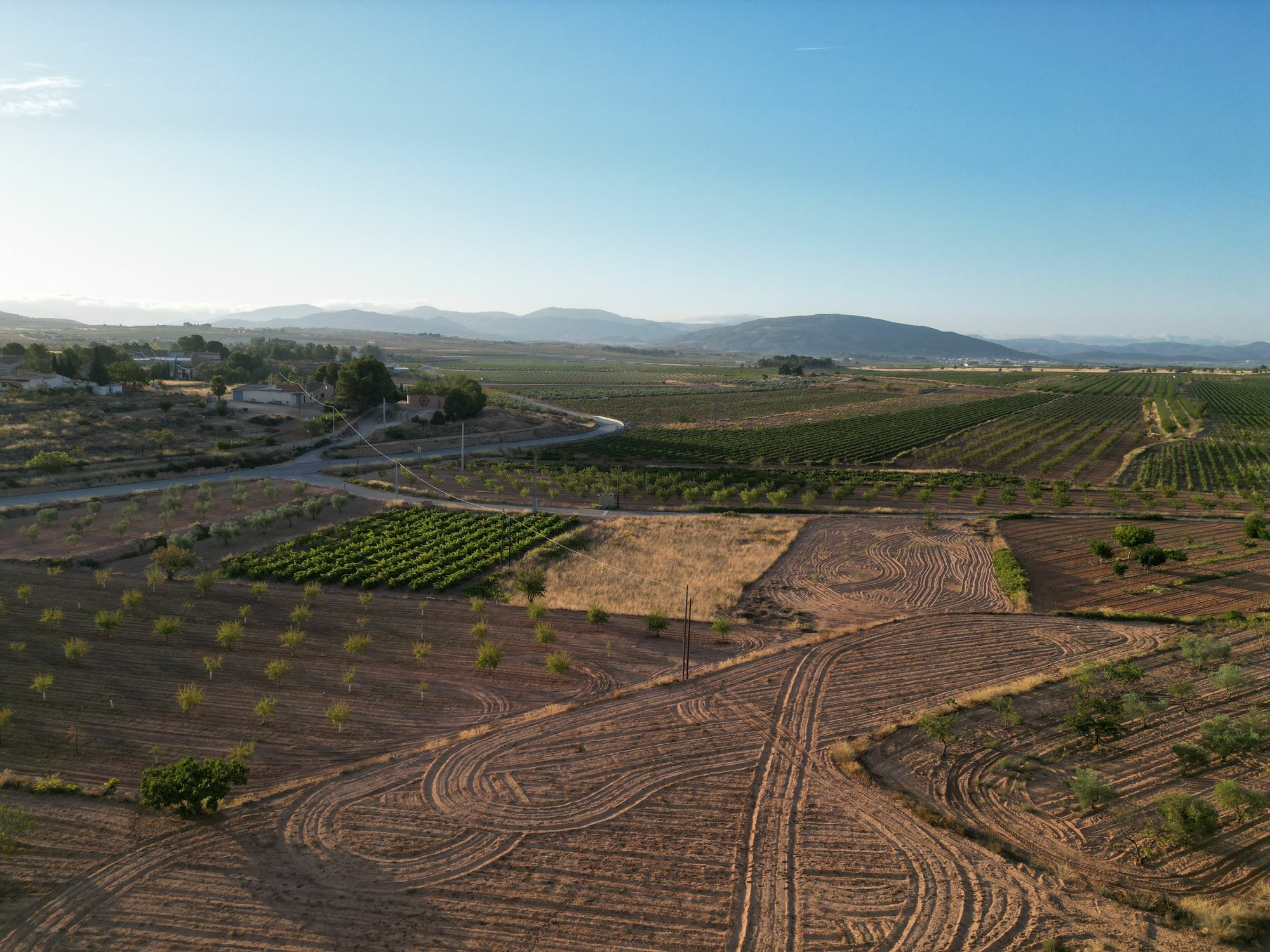 default Land In Pinoso, Spain (11.013 M² Plot)