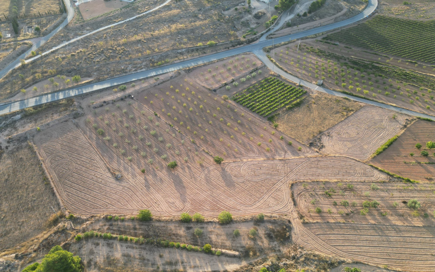 Land In Pinoso, Spain (11.013 M² Plot)