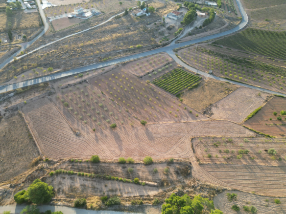 Land In Pinoso, Spain (11.013 M² Plot)