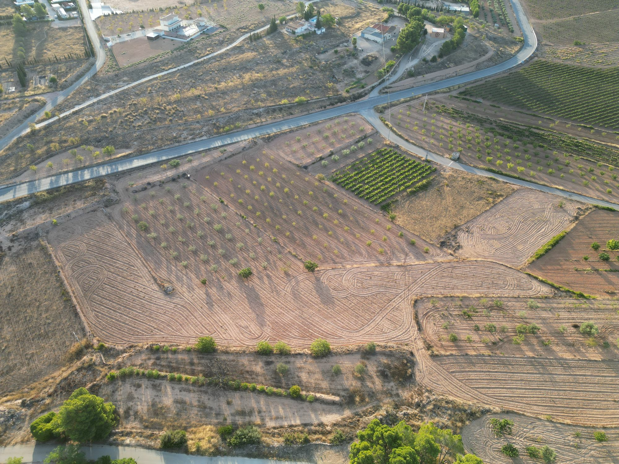 default Land In Pinoso, Spain (11.013 M² Plot)