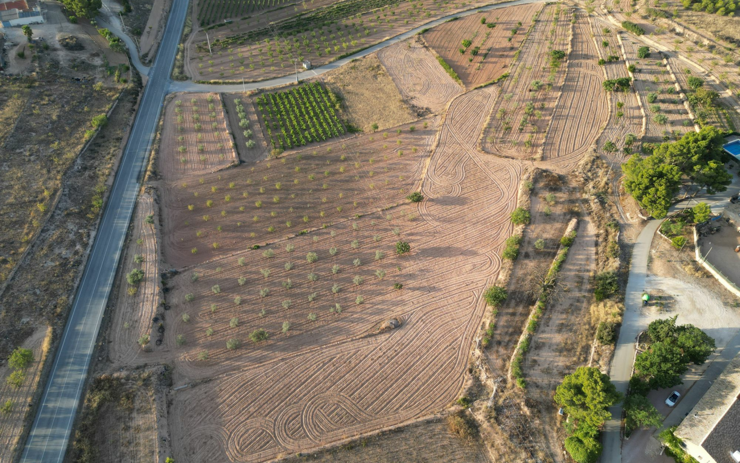 Land In Pinoso, Spain (11.013 M² Plot)
