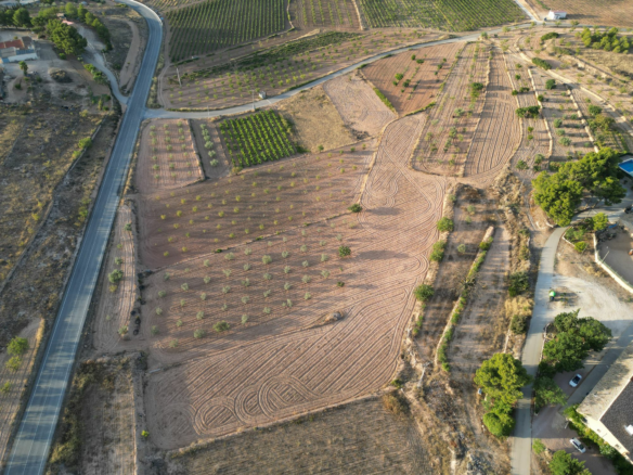 Land In Pinoso, Spain (11.013 M² Plot)