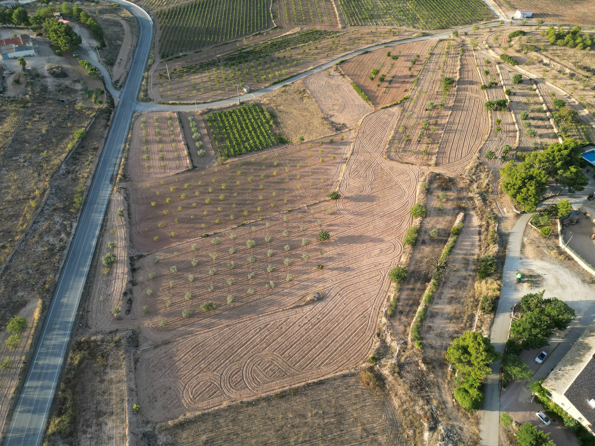 default Land In Pinoso, Spain (11.013 M² Plot)