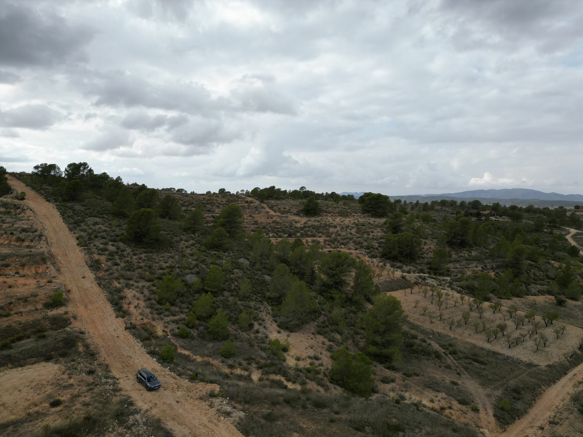 Land In La Zarza, Spain (250 M²)