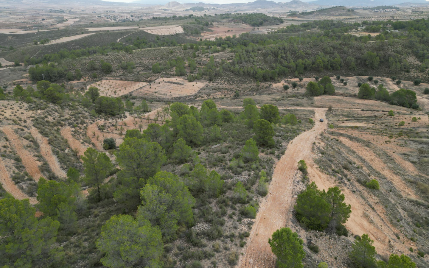 Land In La Zarza, Spain (250 M²)