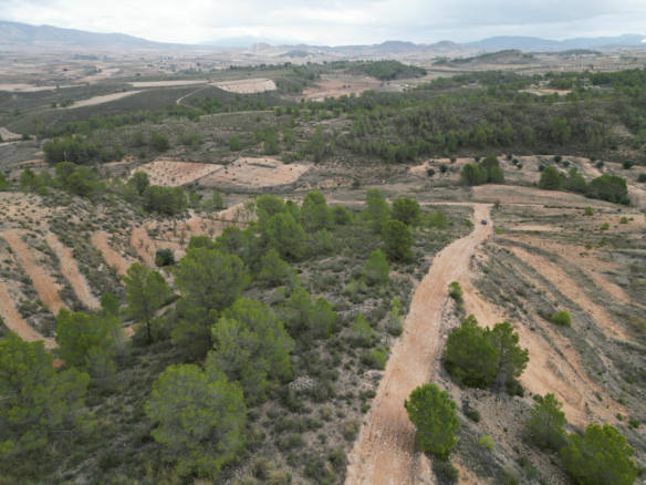 Land In La Zarza, Spain (250 M²)