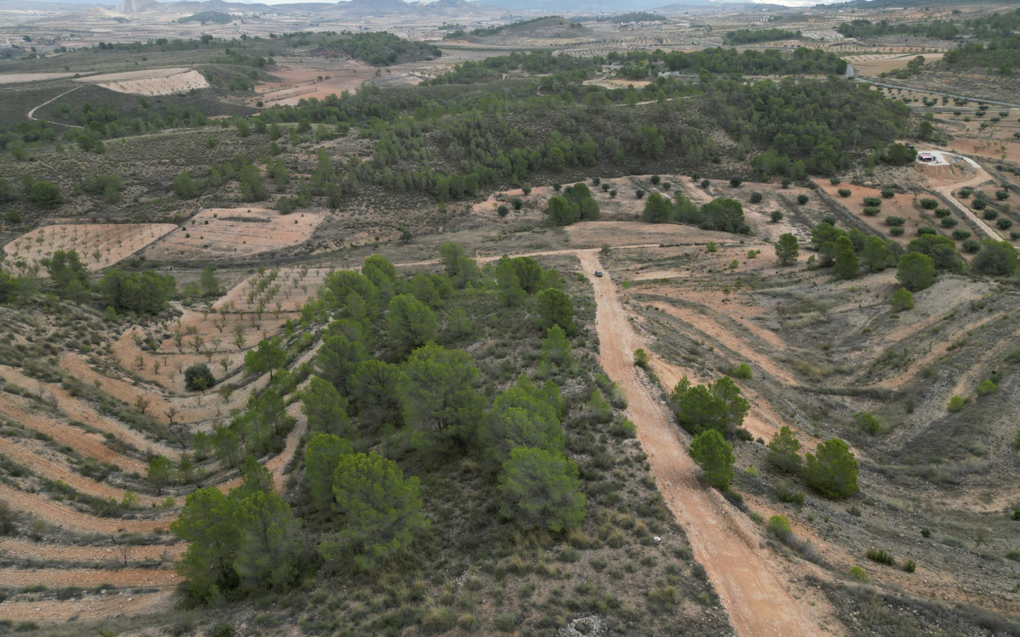 Land In La Zarza, Spain (250 M²)