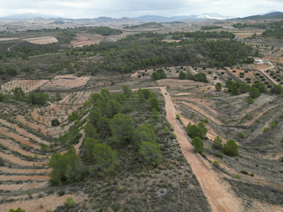 Land In La Zarza, Spain (250 M²)