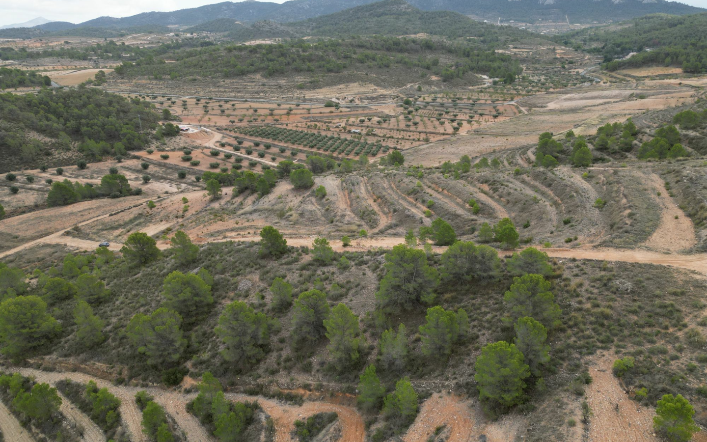 Land In La Zarza, Spain (250 M²)