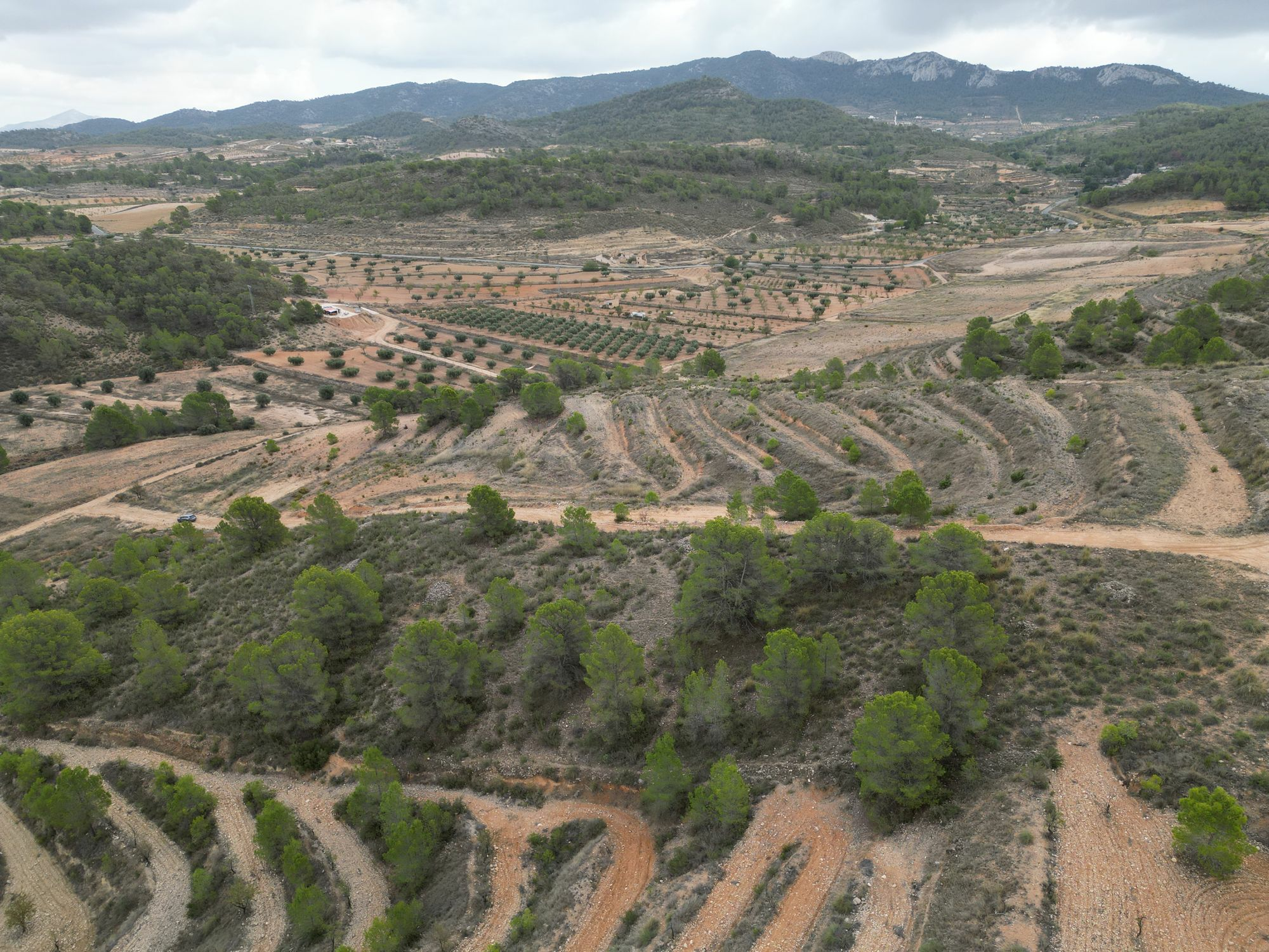 Land In La Zarza, Spain (250 M²)