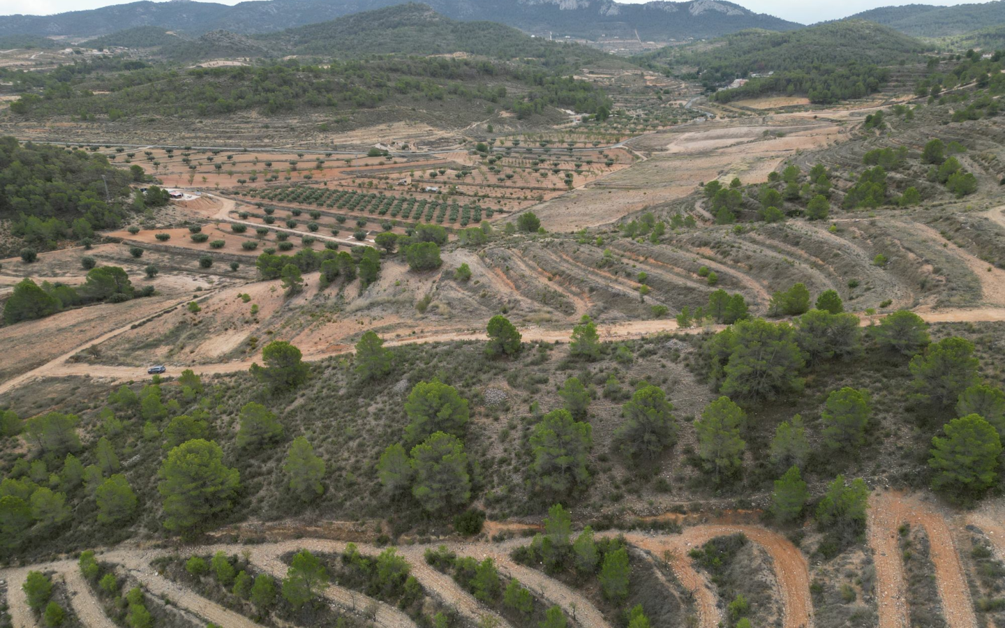 Land In La Zarza, Spain (250 M²)