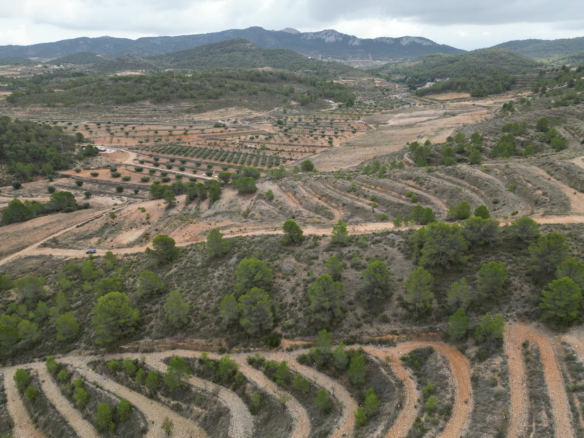 Land In La Zarza, Spain (250 M²)