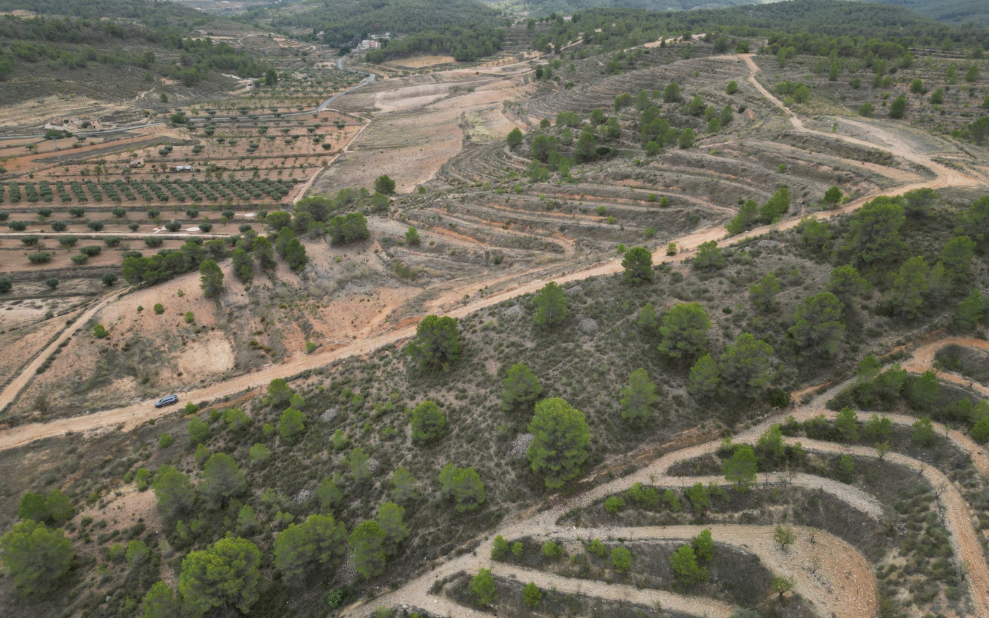 Land In La Zarza, Spain (250 M²)