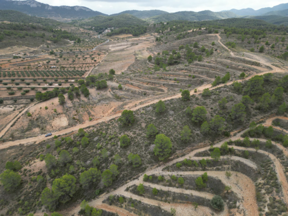 Land In La Zarza, Spain (250 M²)