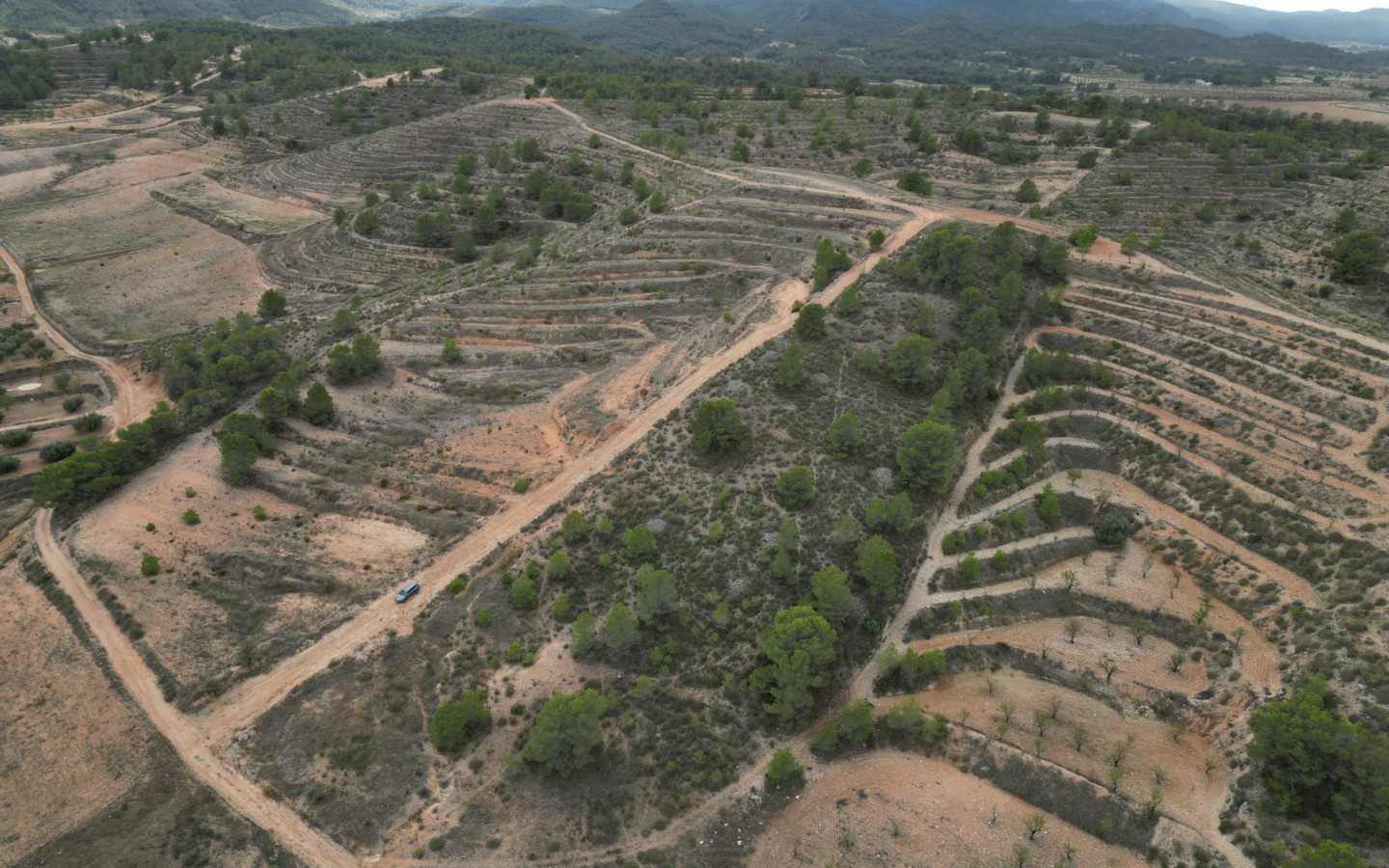 Land In La Zarza, Spain (250 M²)