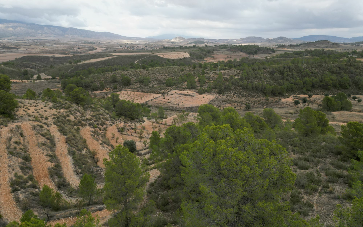 Land In La Zarza, Spain (250 M²)
