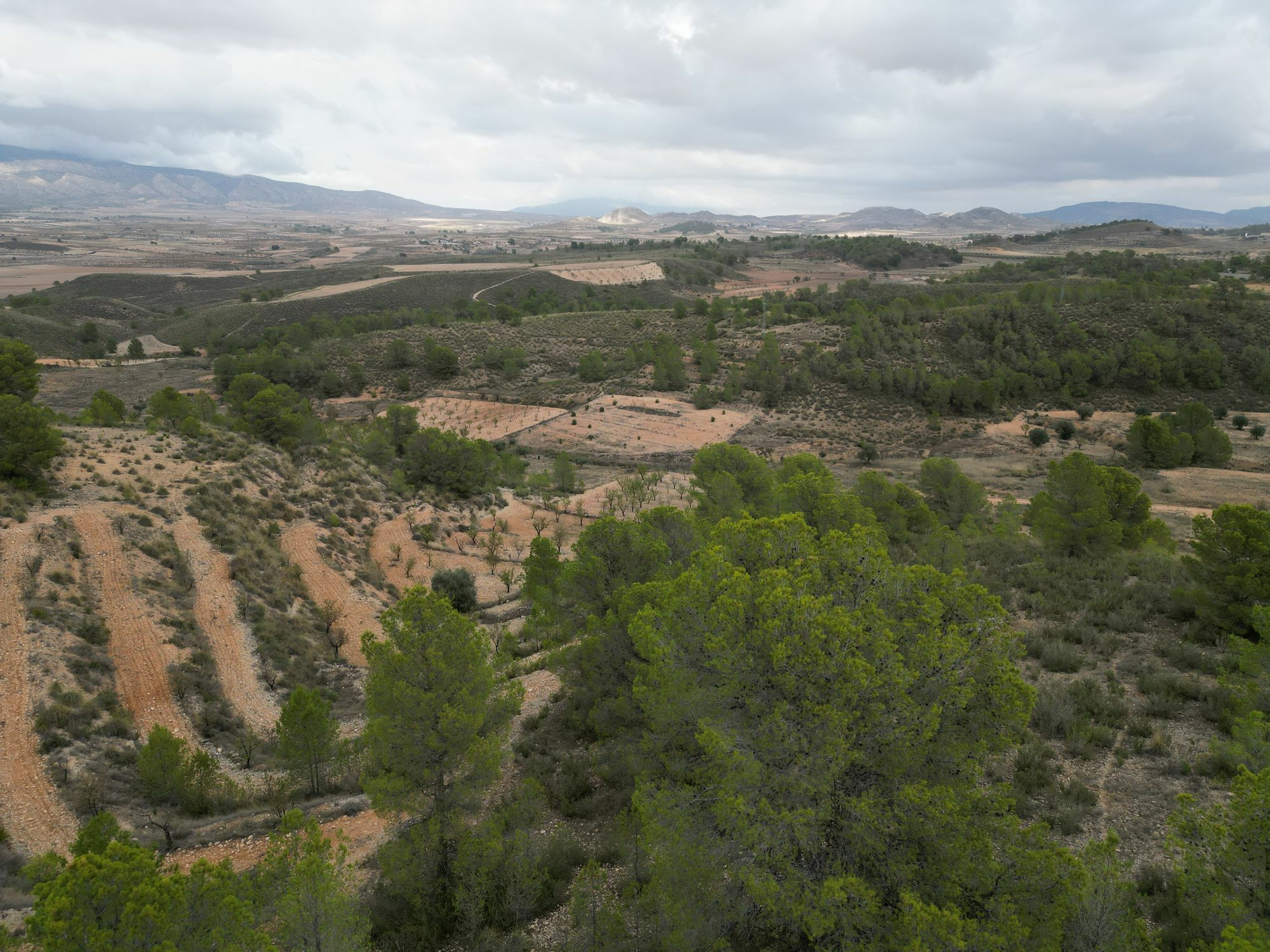 Land In La Zarza, Spain (250 M²)