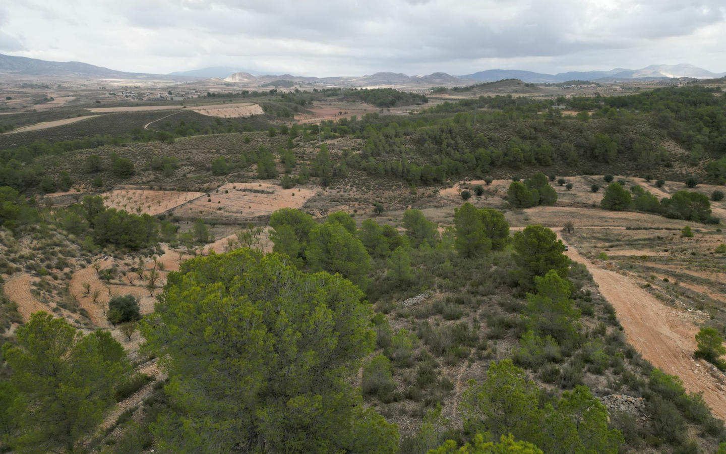Land In La Zarza, Spain (250 M²)