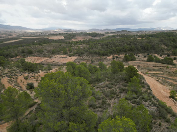 Land In La Zarza, Spain (250 M²)