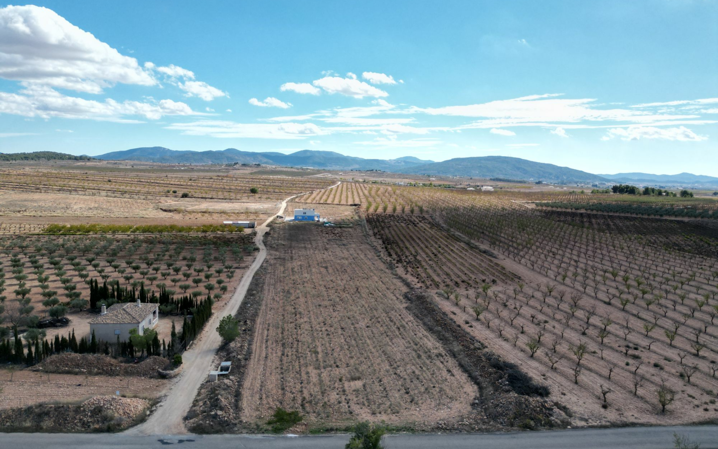 Land In Lel, Spain (12.393 M² Plot)