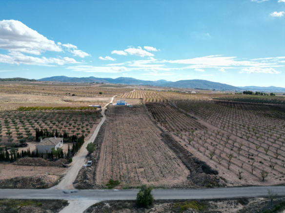 Land In Lel, Spain (12.393 M² Plot)