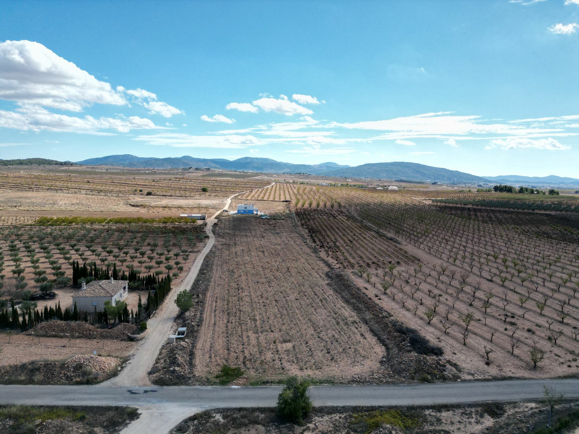 default Land In Lel, Spain (12.393 M² Plot)