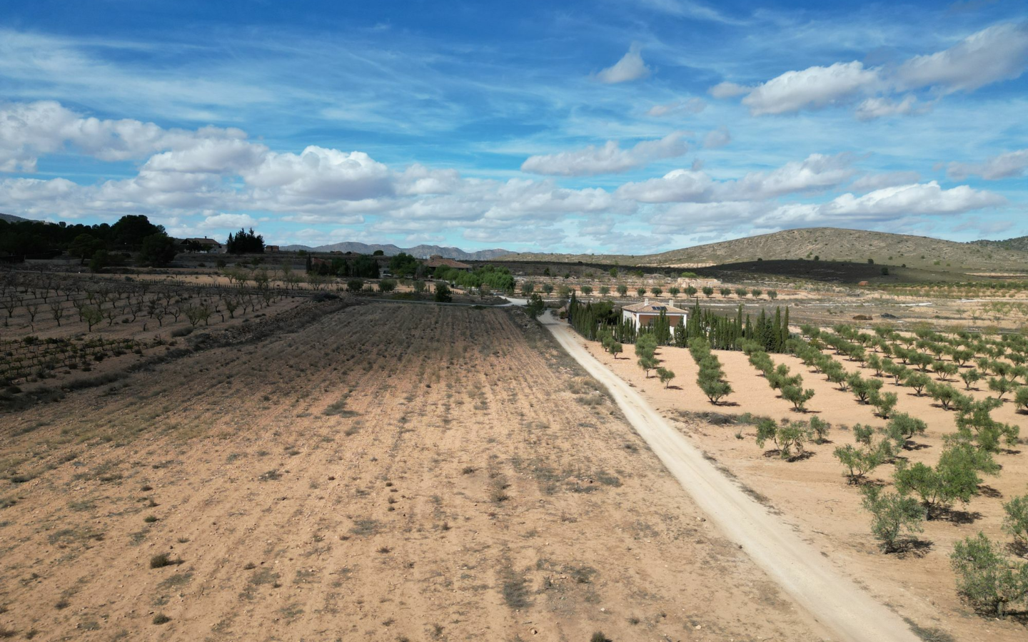 Land In Lel, Spain (12.393 M² Plot)