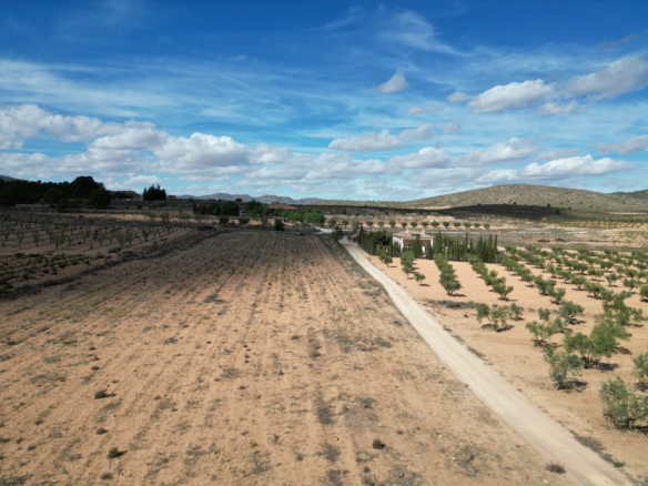 Land In Lel, Spain (12.393 M² Plot)