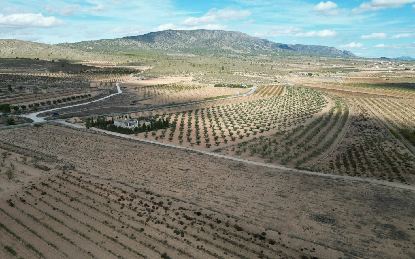 Land In Lel, Spain (12.393 M² Plot)